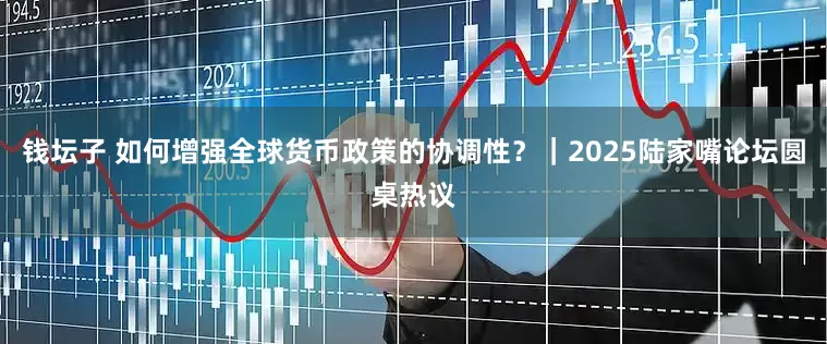 钱坛子 如何增强全球货币政策的协调性？｜2025陆家嘴论坛圆桌热议