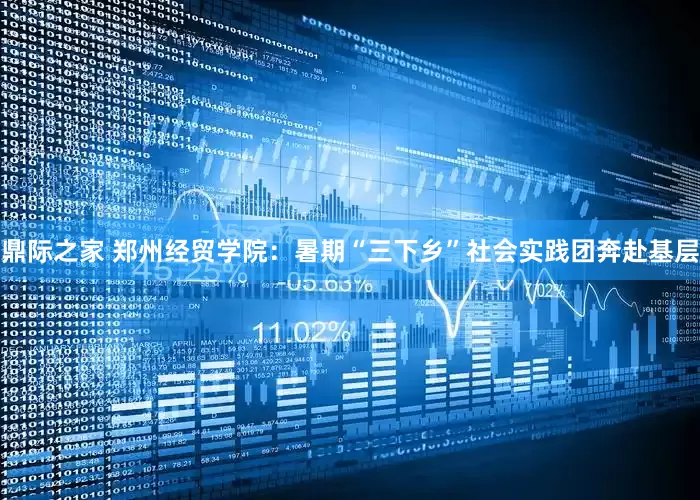 鼎际之家 郑州经贸学院：暑期“三下乡”社会实践团奔赴基层