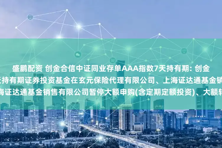 盛鹏配资 创金合信中证同业存单AAA指数7天持有期: 创金合信中证同业存单AAA指数7天持有期证券投资基金在玄元保险代理有限公司、上海证达通基金销售有限公司暂停大额申购(含定期定额投资)、大额转换转入业务的公告