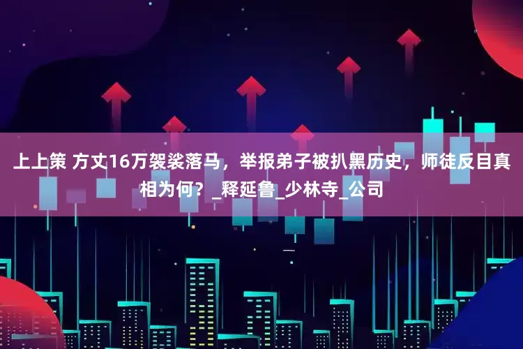 上上策 方丈16万袈裟落马，举报弟子被扒黑历史，师徒反目真相为何？_释延鲁_少林寺_公司