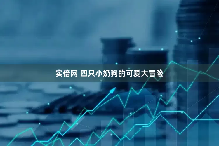 实倍网 四只小奶狗的可爱大冒险