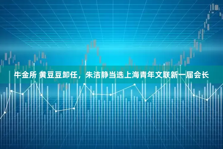牛金所 黄豆豆卸任，朱洁静当选上海青年文联新一届会长
